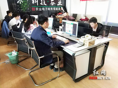 輸血變造血 衡陽市雁峰區(qū)以計算機技術(shù)培訓(xùn)為抓手，走深走實產(chǎn)業(yè)扶貧路