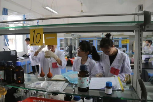 探索食品中的科學(xué) 食品科技學(xué)院風貌及其在計算機技術(shù)培訓(xùn)中的融合